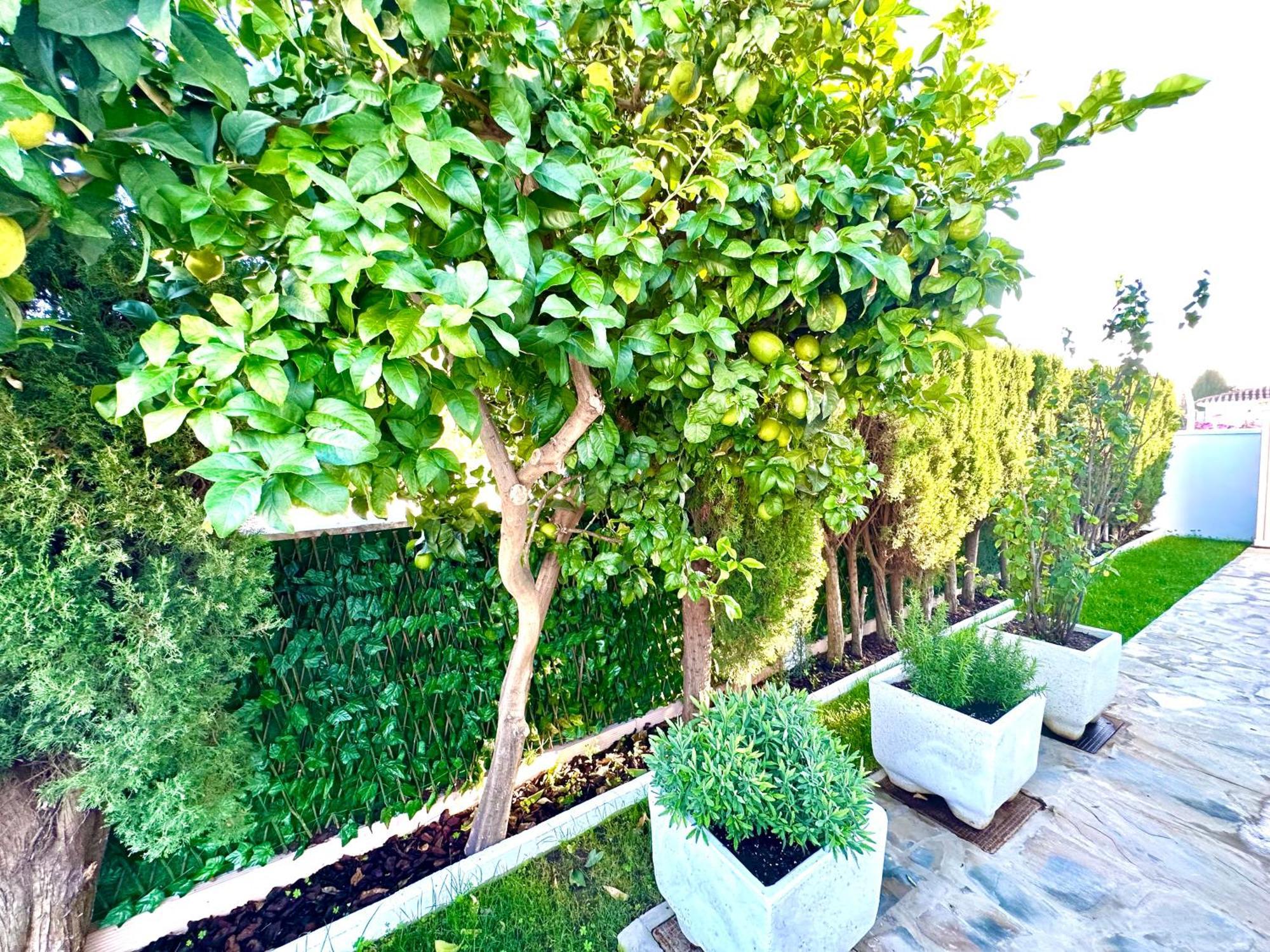 Villa Casacara Marbella Beachside Costabella -Spain מראה חיצוני תמונה